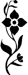 আম যদি খোকা হতাম