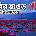 ডিবির হাওর: সিলেটের এক অপূর্ব প্রাকৃতিক সৌন্দর্য