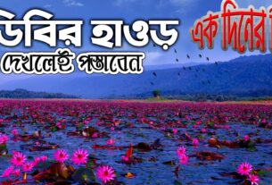 ডিবির হাওর: সিলেটের এক অপূর্ব প্রাকৃতিক সৌন্দর্য