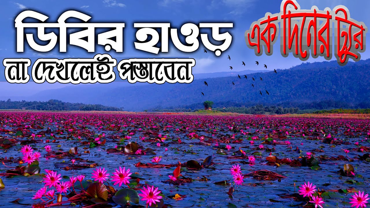 ডিবির হাওর: সিলেটের এক অপূর্ব প্রাকৃতিক সৌন্দর্য