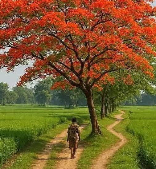 নিমন্ত্রণ