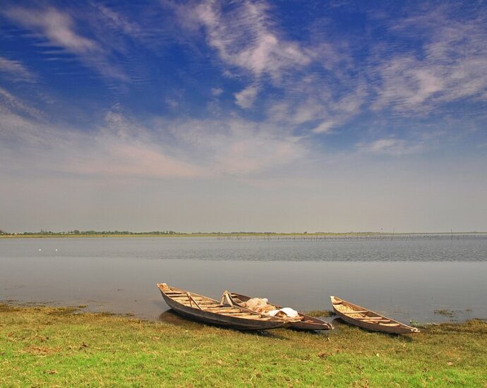 শনির হাওর, তাহিরপুর, সুনামগঞ্জ — প্রকৃতির এক অপূর্ব জলজ রাজ্য