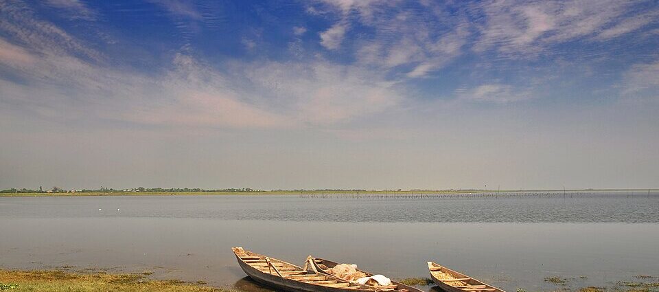 শনির হাওর, তাহিরপুর, সুনামগঞ্জ — প্রকৃতির এক অপূর্ব জলজ রাজ্য