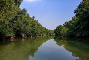 Kuakata_National_Park-কুয়াকাটা জাতীয় উদ্যান, কলাপাড়া, পটুয়াখালী