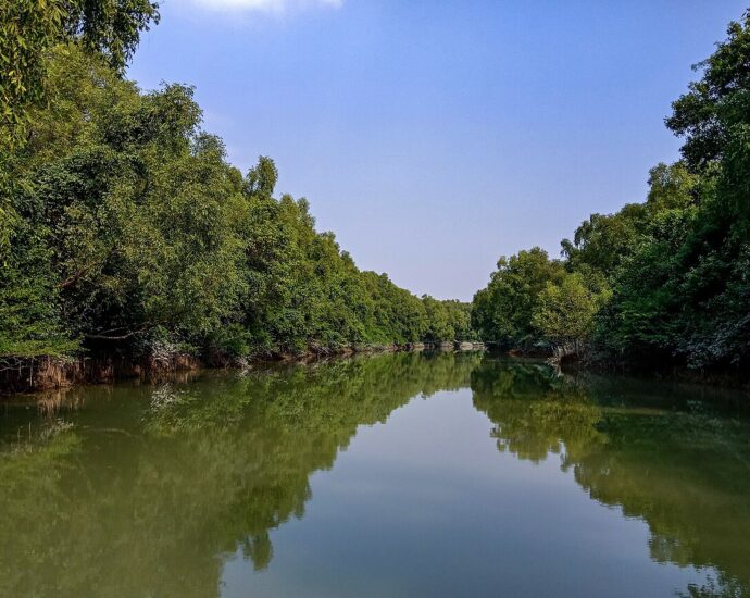 Kuakata_National_Park-কুয়াকাটা জাতীয় উদ্যান, কলাপাড়া, পটুয়াখালী