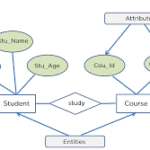 E-R Diagram (Entity-Relationship Diagram) কী?