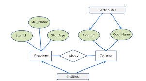 E-R Diagram (Entity-Relationship Diagram) কী?