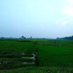 গায়েবি দিঘি ইতিহাস