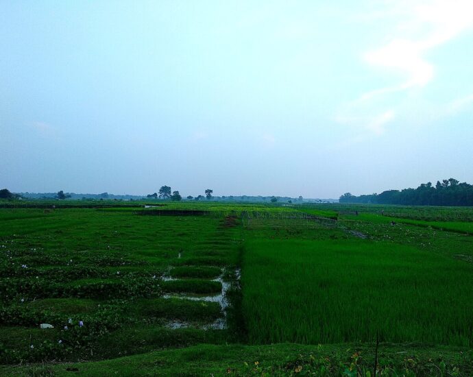 গায়েবি দিঘি ইতিহাস