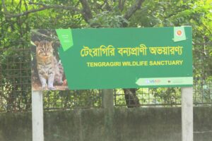 টেংরাগিরি বন্যপ্রাণী অভয়ারণ্য, তালতলী, বরগুনা