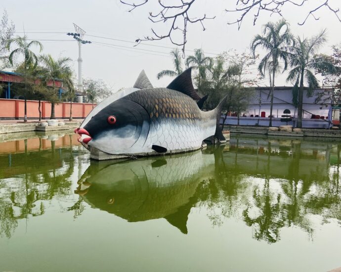 ড্রিম হলিডে পার্ক