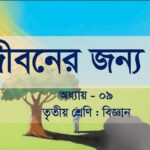 তৃতীয় শ্রেণির বিজ্ঞান নবম অধ্যায় প্রশ্ন উত্তর