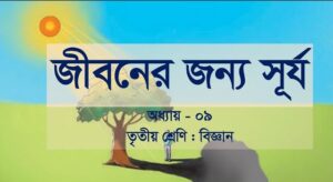 তৃতীয় শ্রেণির বিজ্ঞান নবম অধ্যায় প্রশ্ন উত্তর
