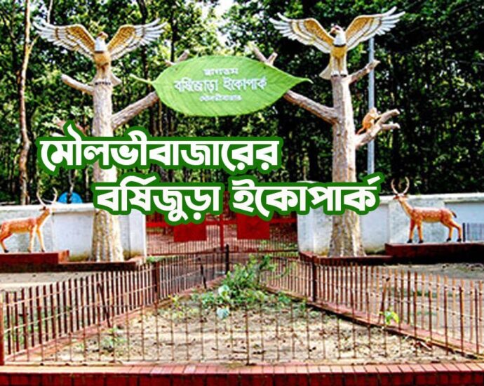 বর্ষিজোড়া ইকোপার্ক, মৌলভীবাজার