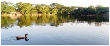 মশাজানের দিঘী – ইতিহাস, ঐতিহ্য ও প্রাকৃতিক সৌন্দর্যের মিলন