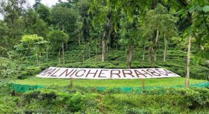 মালনীছড়া চা বাগান, সিলেট: বাংলাদেশের চা ইতিহাসের সূচনালিপি