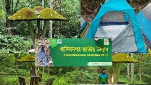 🌳 খাদিমনগর জাতীয় উদ্যান, শাহপরান, সিলেট: প্রকৃতির কোলে জীববৈচিত্র্যের এক অভয়ারণ্য