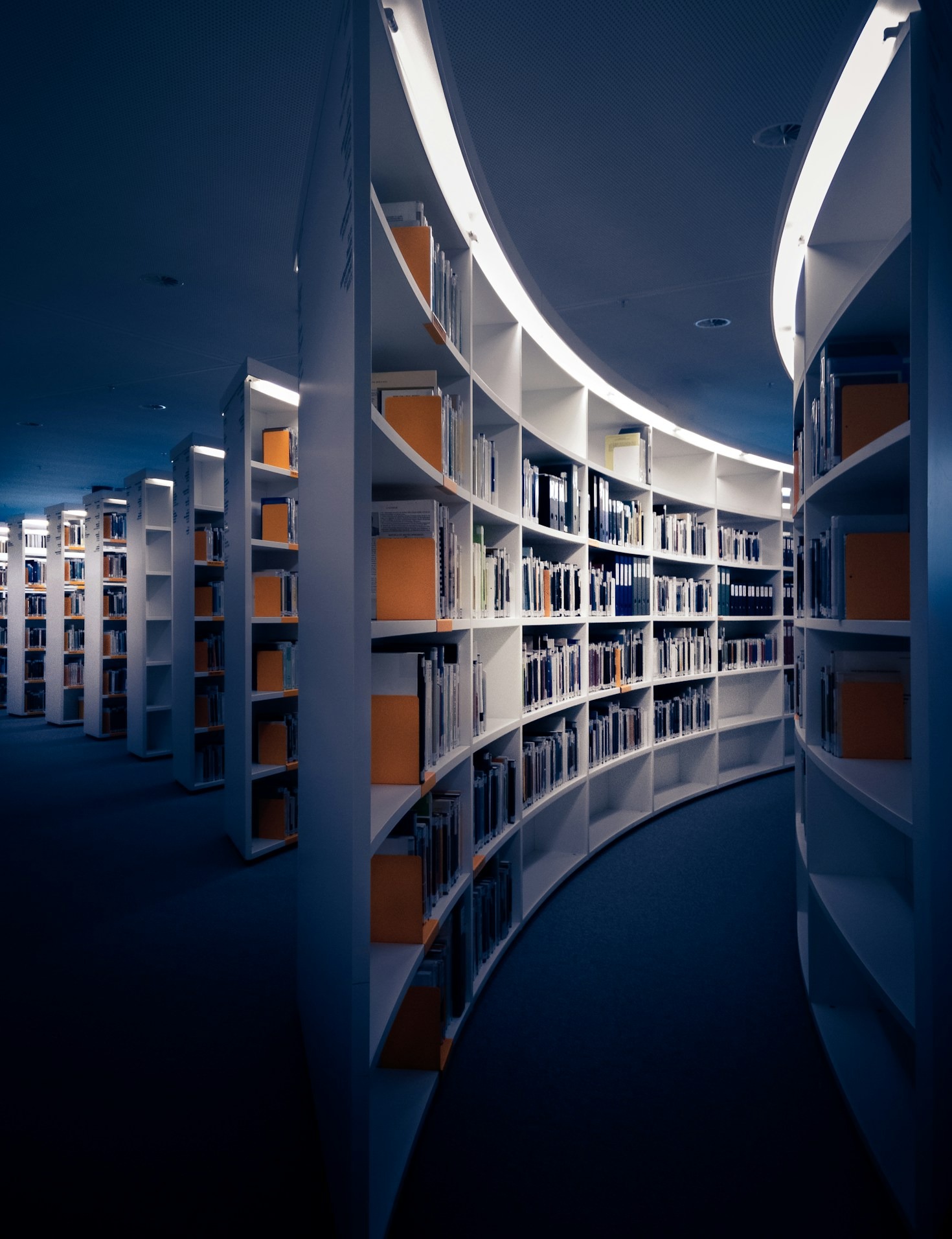 5 Tips for Maximizing Your Learning Potential